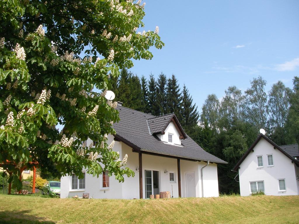 Villa Dum Na Lipne Lipno nad Vltavou Camera foto